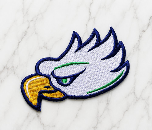 Florida gulf coast eagle - florida,